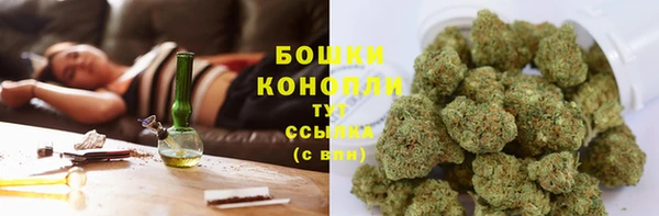 прущий лед Богородицк