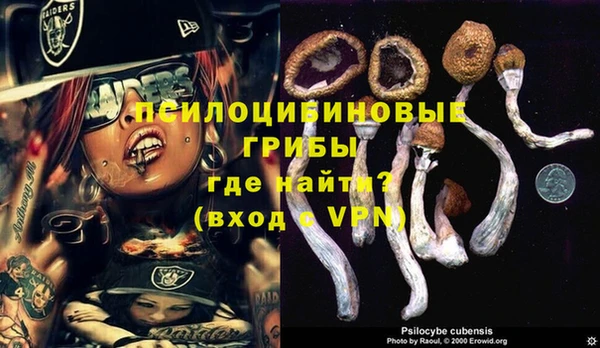 прущий лед Богородицк