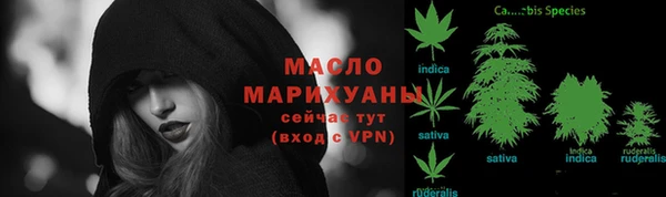 дмт Богородск