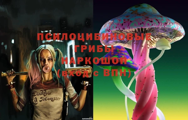 прущий лед Богородицк