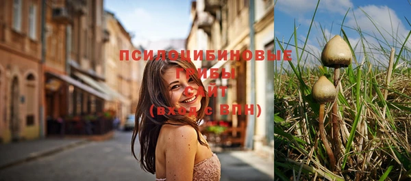 дмт Богородск