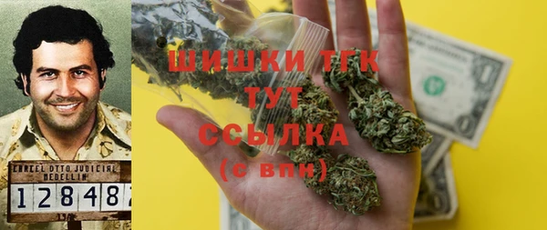 ПСИЛОЦИБИНОВЫЕ ГРИБЫ Богданович