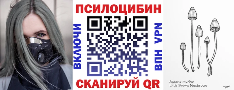 Псилоцибиновые грибы мицелий  Кондрово 